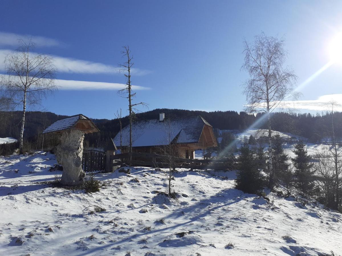 Villa Pichelhuette Murau Esterno foto
